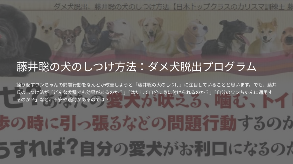 藤井聡の犬のしつけ方法：ダメ犬脱出プログラム