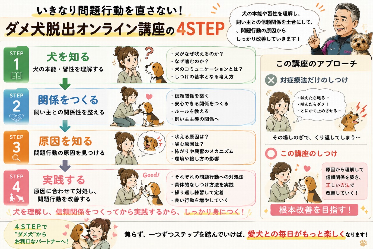 藤井聡の犬のしつけ