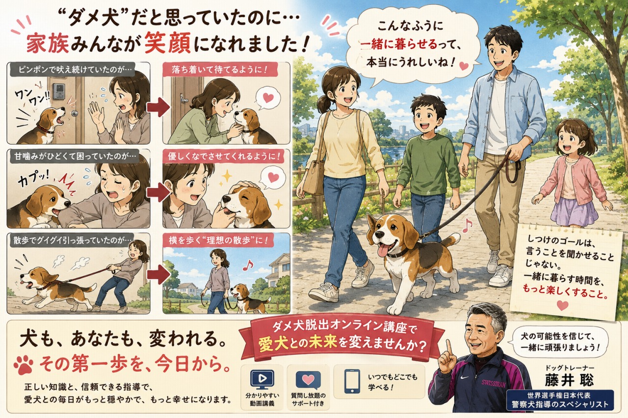 藤井聡の犬のしつけ