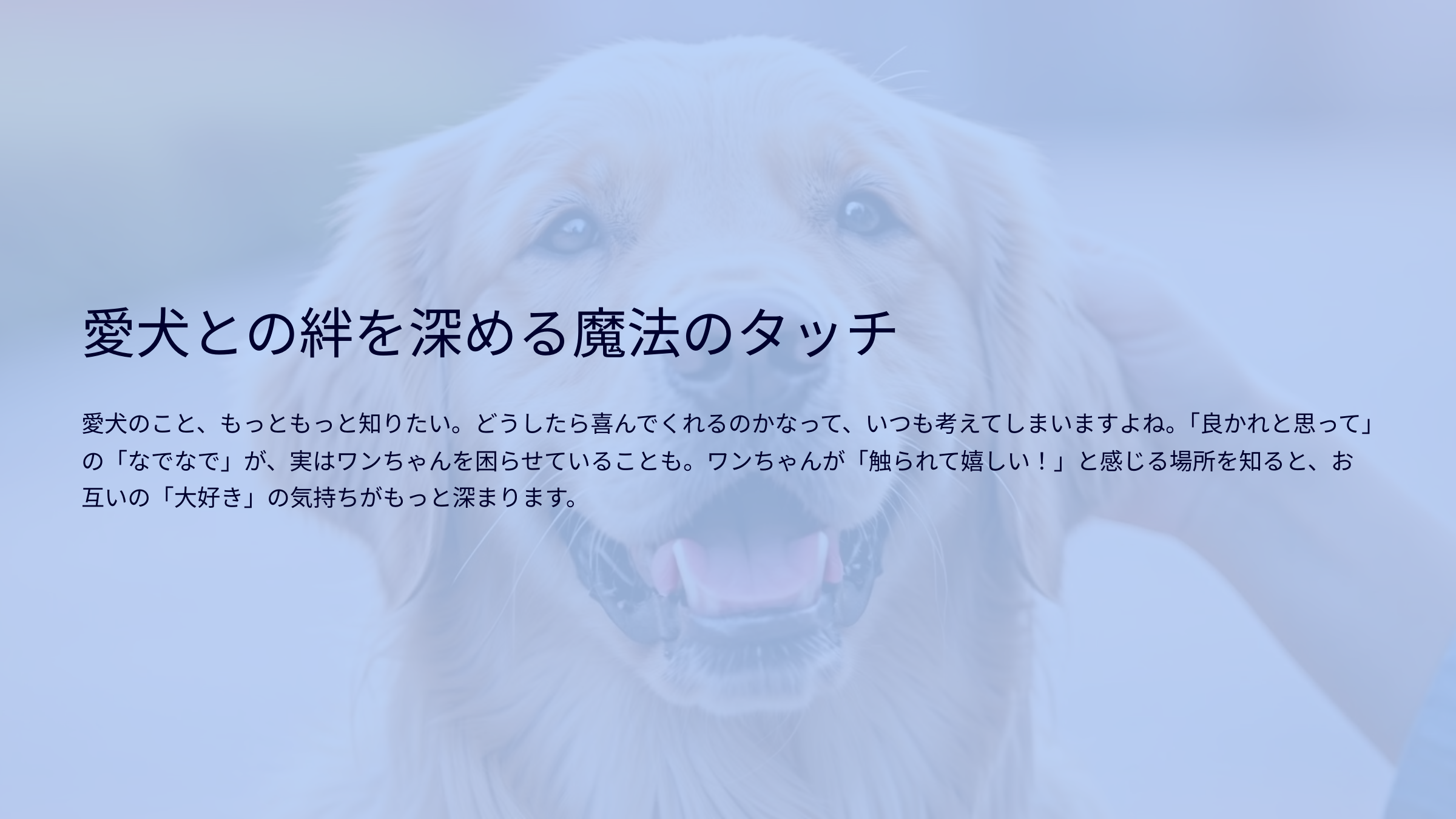 愛犬との絆を深める魔法のタッチ