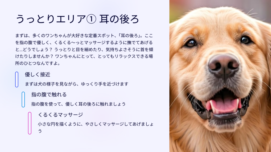 うっとりエリア① 耳の後ろ