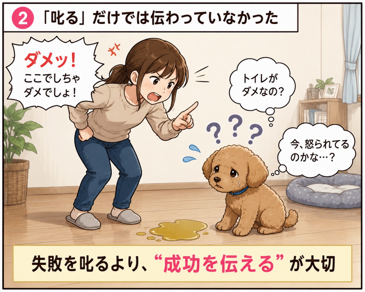 トイレのしつけ
