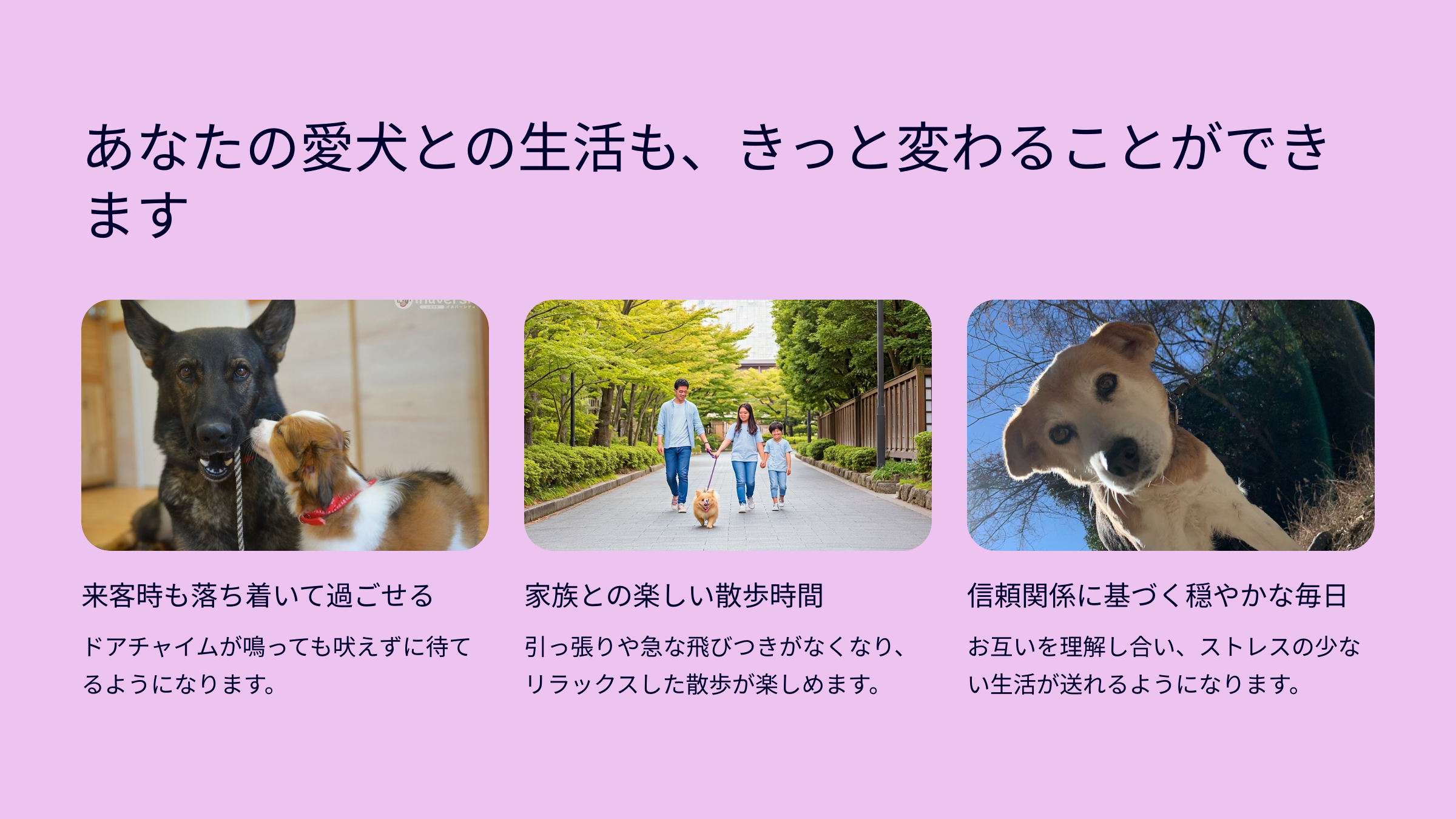 犬を飼い始めたらすること