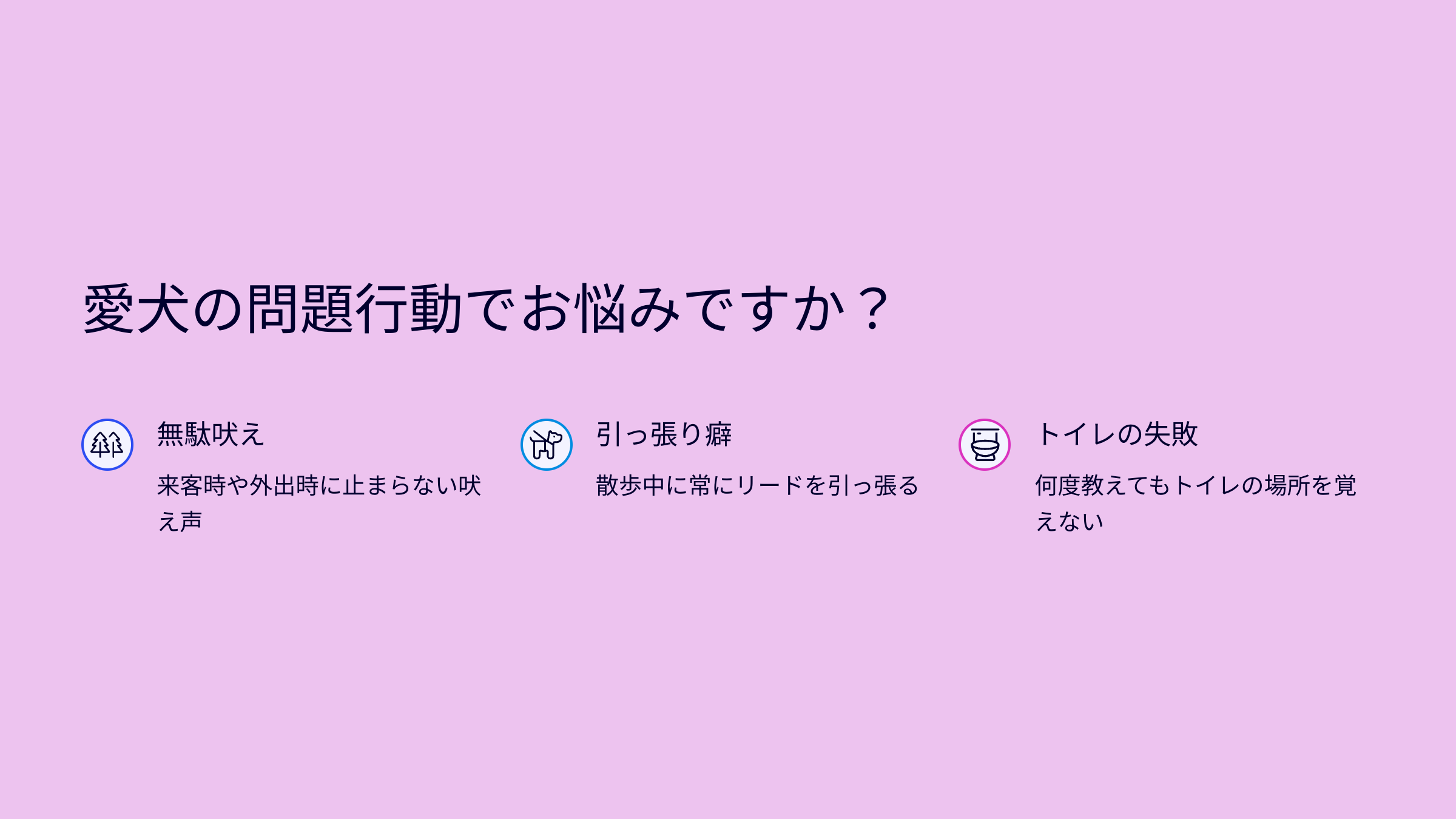 イヌバーシティ