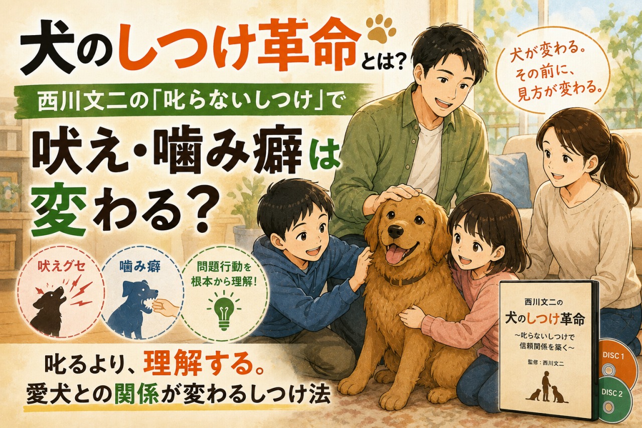 犬のしつけ革命