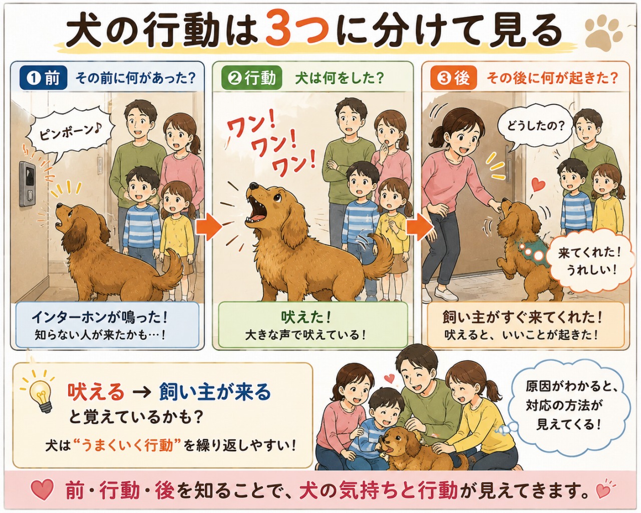 犬のしつけ革命