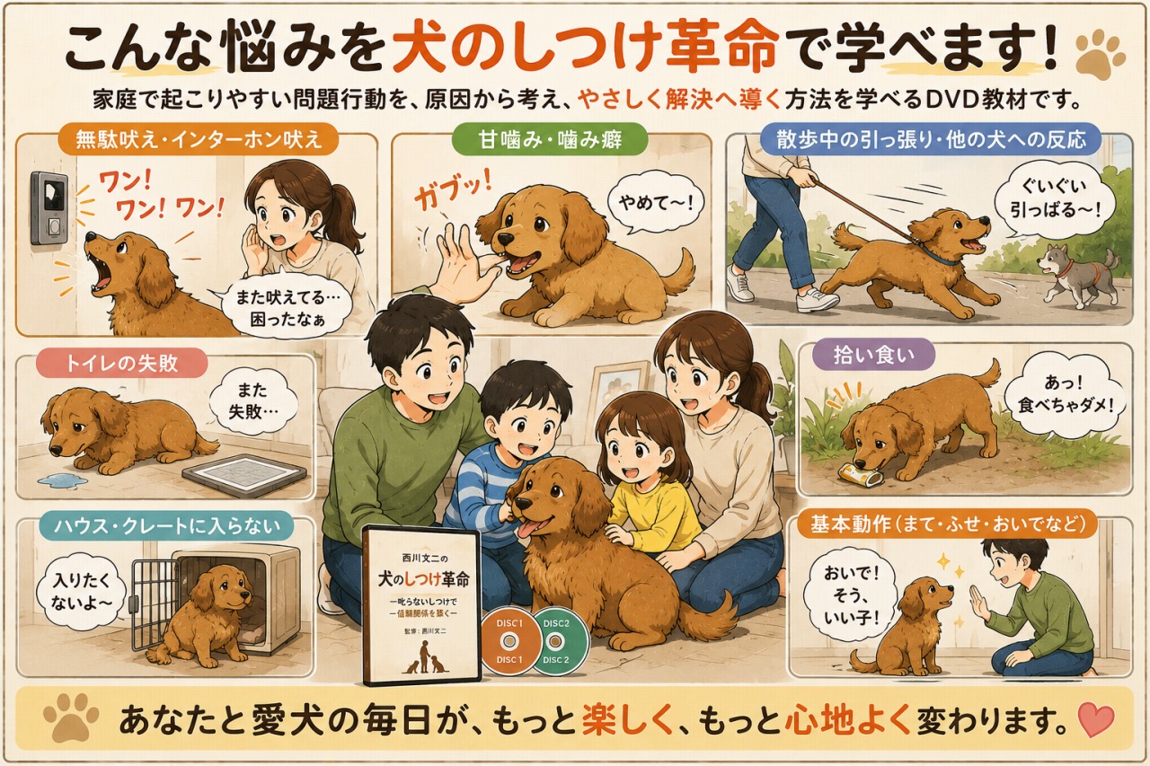犬のしつけ革命